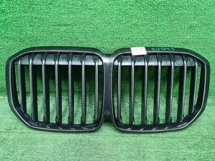 Решетка радиатора BMW X7 G07 (2019-2022)