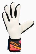 Вратарские перчатки Reusch Attrakt Freegel Advance - черный