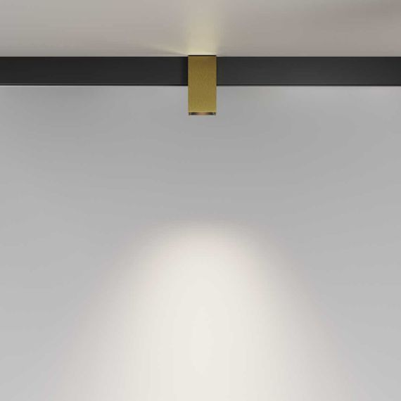 Трековый светильник Maytoni Technical TR121-4-7W-DS-BS