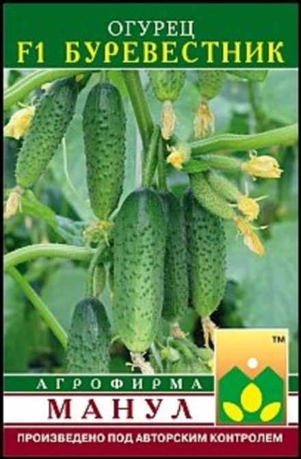 Огурец Буревестник Ц Манул