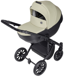 Детская коляска Anex m/type 3 в 1 sage