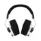 Final Audio D8000 DC Pro Edition Silver