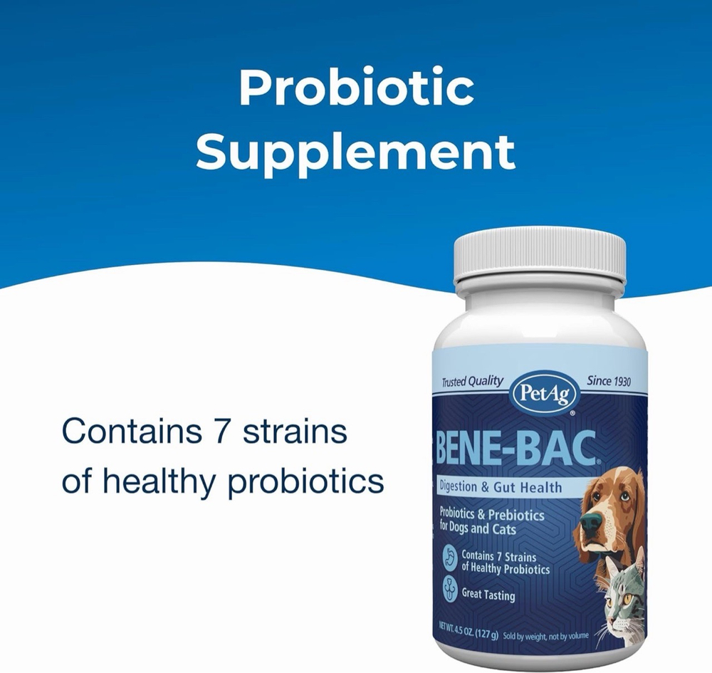 Bene Bac Plus (Бене Бак) порошок