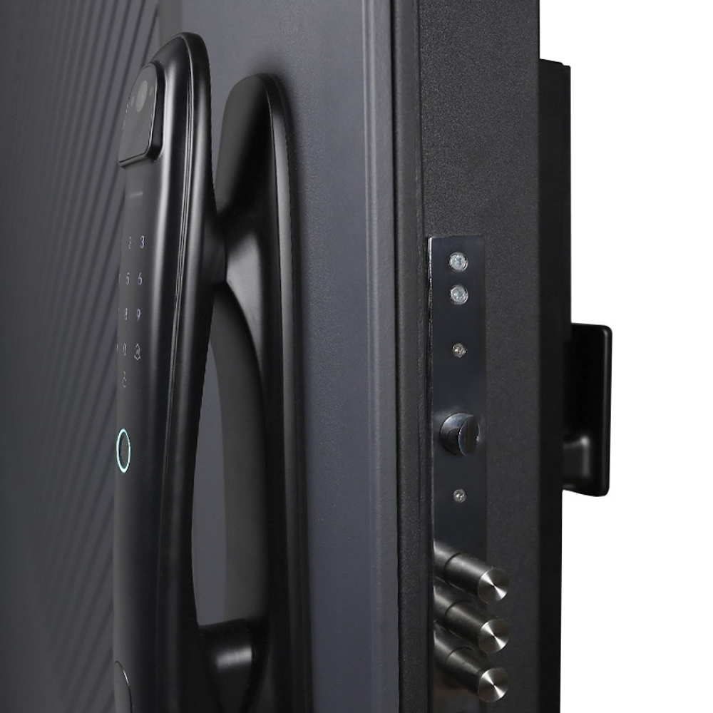 Стальная дверь "Гавана" (биометрический замок). Заказная модель.