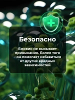 Ежовик Гребенчатый Мицелий 60 капсул