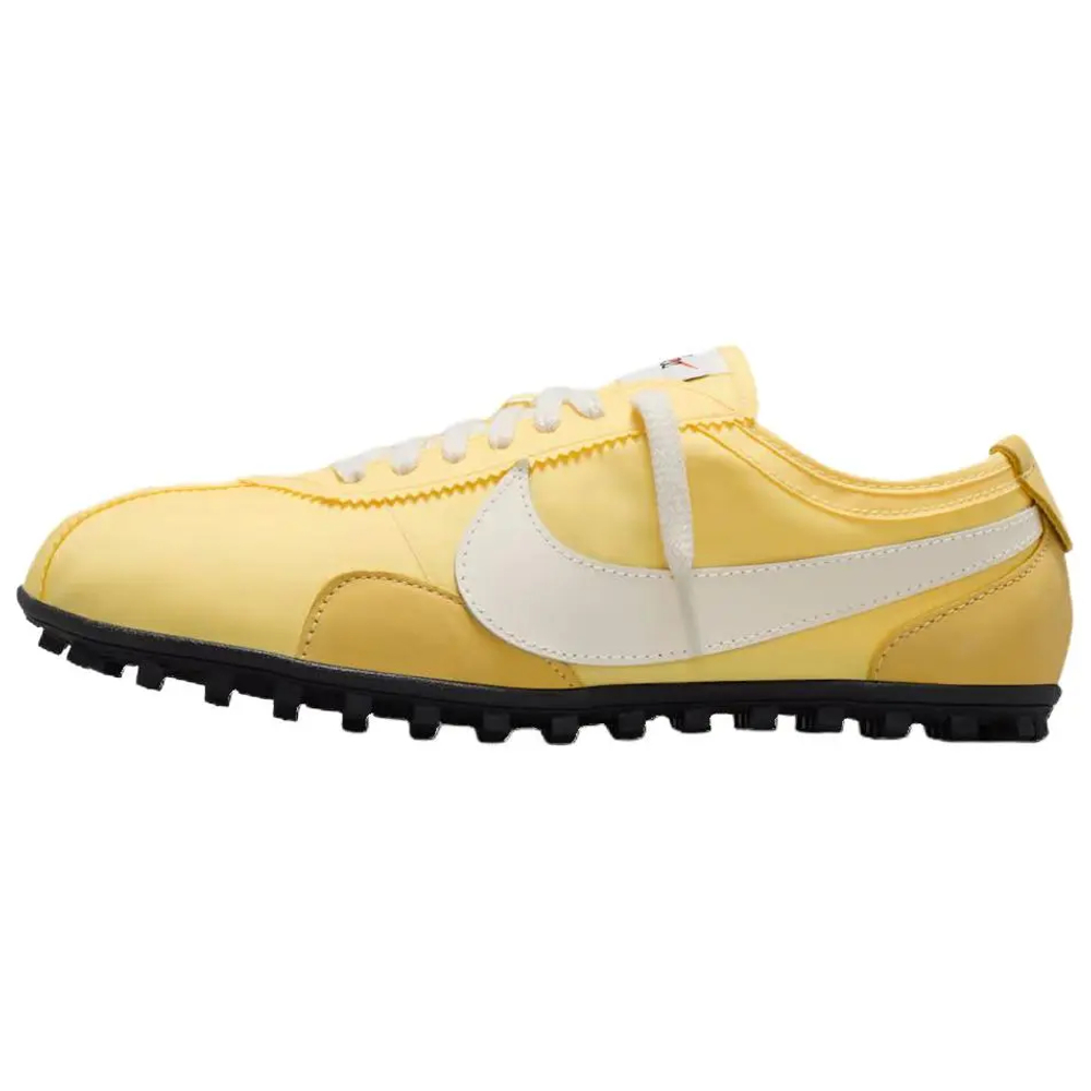 Nike Moon