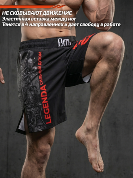 Шорты спортивные тренировочные LEGENDA Рать 2 Варяг черный