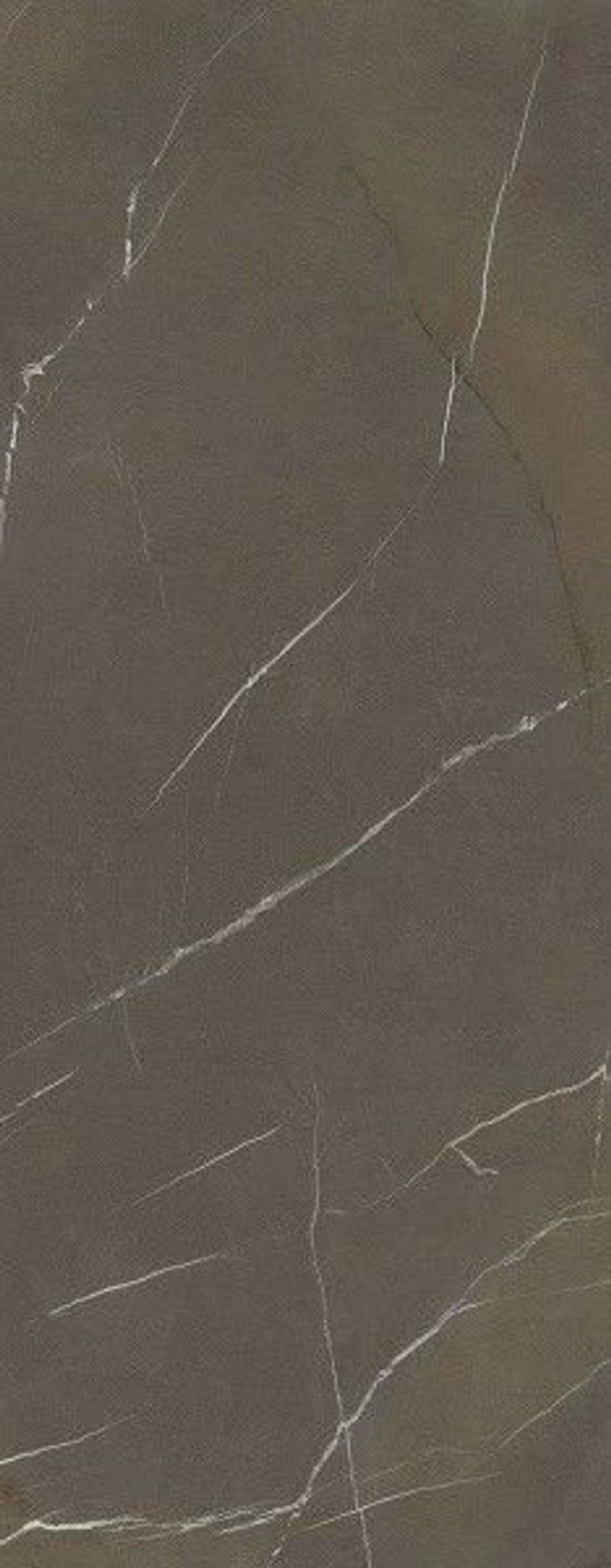 In-Side Pietra Piasentina Taupe Fiam 5.6 mm 1200×3000