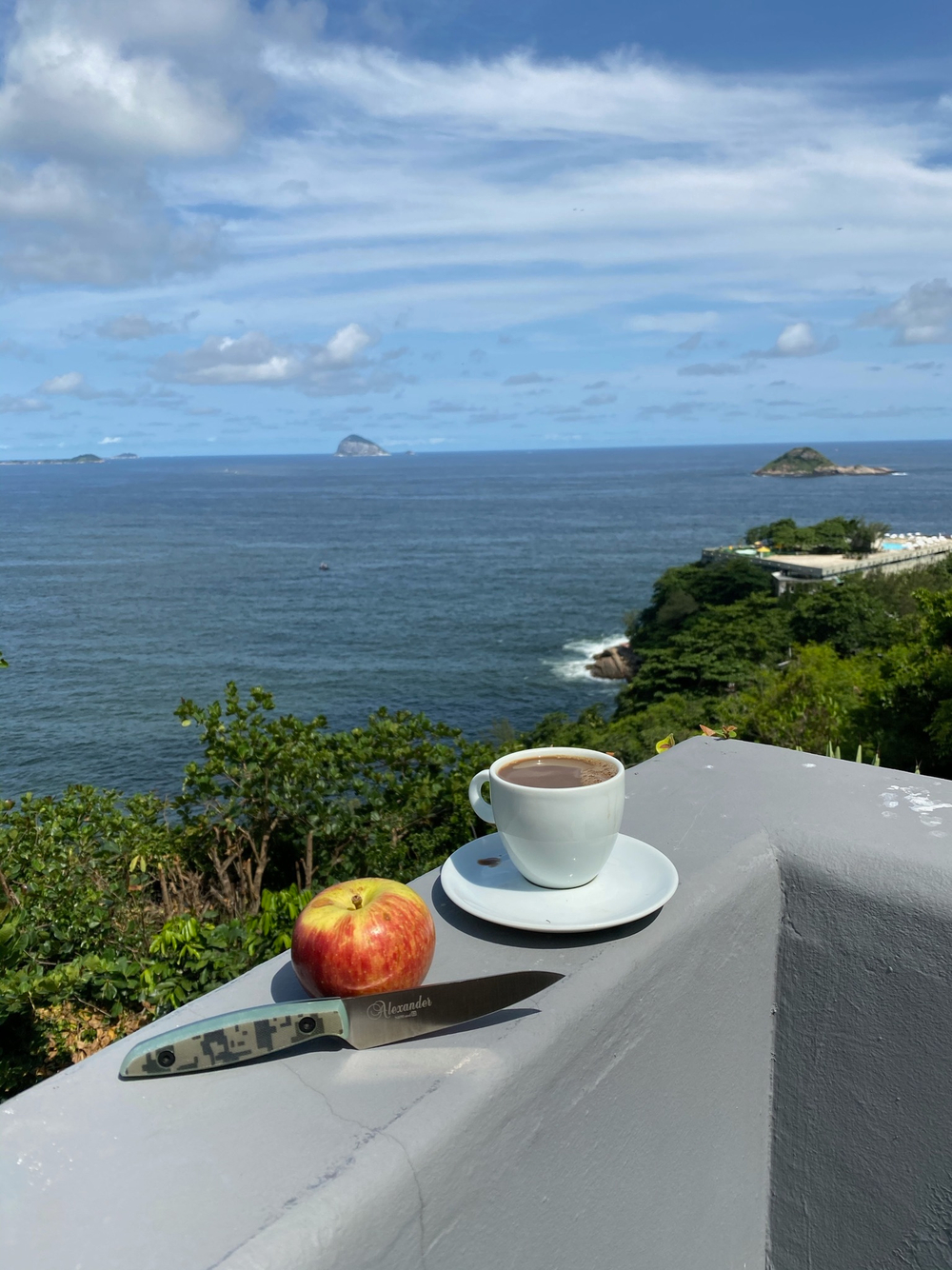 🏆Кухонный нож Alexander S N690 Camo G10