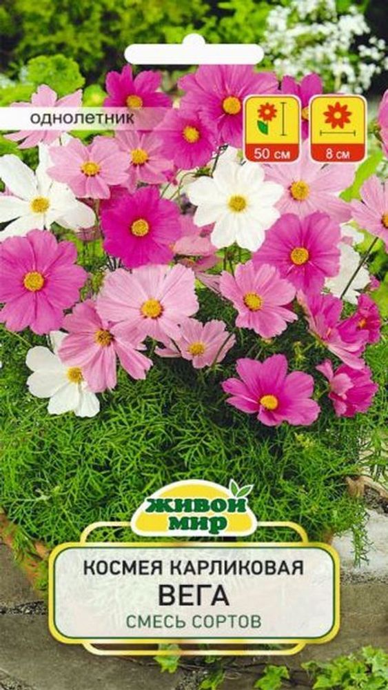 Kocмeя карликовая &quot;Beгa&quot; 0,5г., Польша.