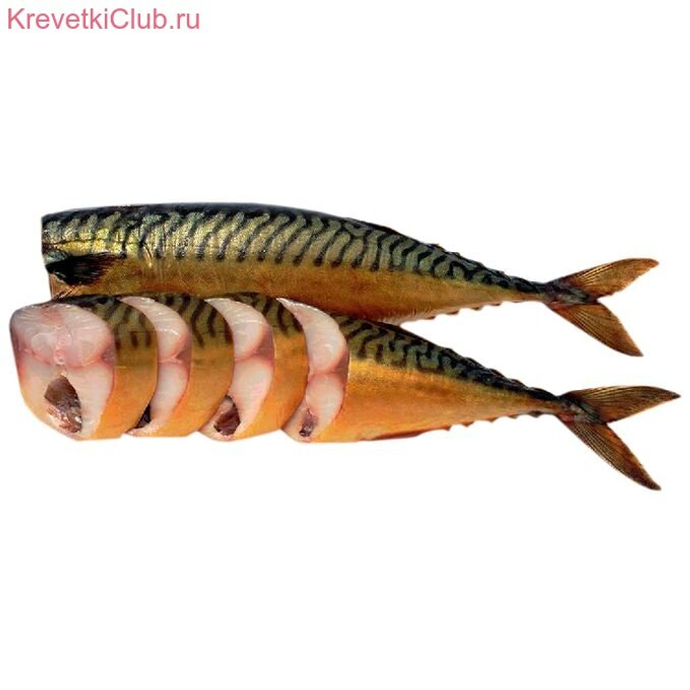 Скумбрия х/к б/г 300+ ТНС