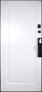 Стальная дверь "Сапсан" (биометрический замок Y12)