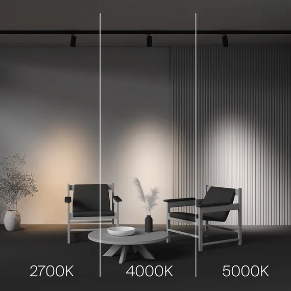 Трековый светильник Фокус / Focus Led Trinity 2700-5000K 20Вт 36° Technical tr197-3-20wcct-m-b