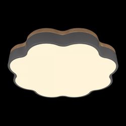 Накладной светильник Loft it Axel 10225/36 Grey