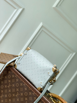Louis Vuitton Side Trunk MM