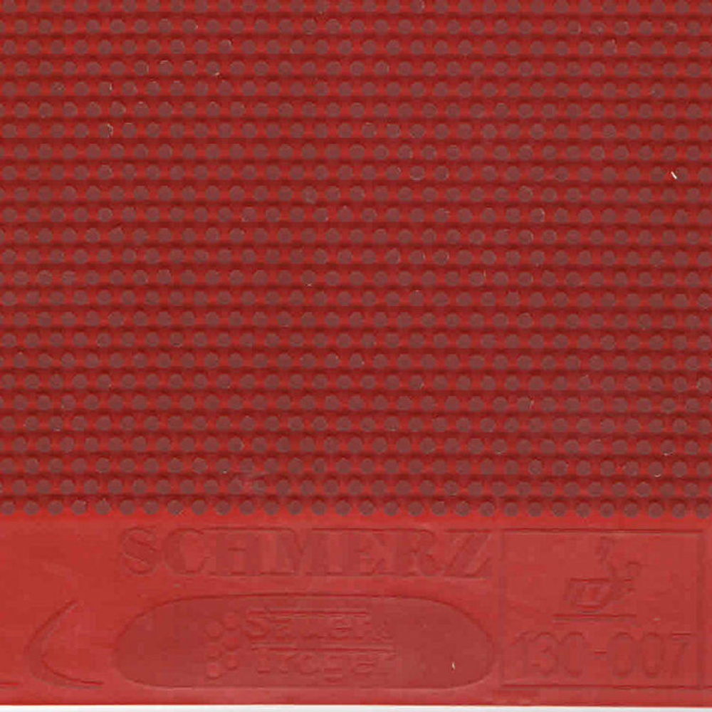 SAUER & TROGER Schmerz