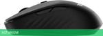 Мышь Acer OMR300 черный (ZL.MCECC.01R)