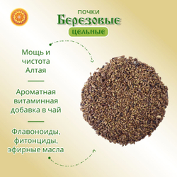 Березовые почки.