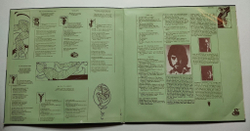 Винтажная виниловая пластинка LP The Alan Parsons Project Tales Of Mystery And Imagination (Portugal 1976)