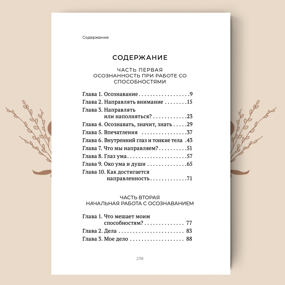 Осознанность. Шевцов А.