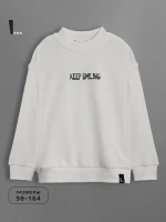 Свитшот для мальчика с принтом