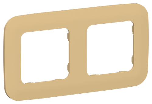 FLITE Рамка 2-местная РУ-2-А-ФлШм шамуа IEK