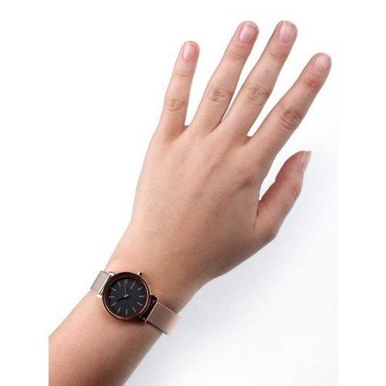 Женские часы Skagen SKW2470