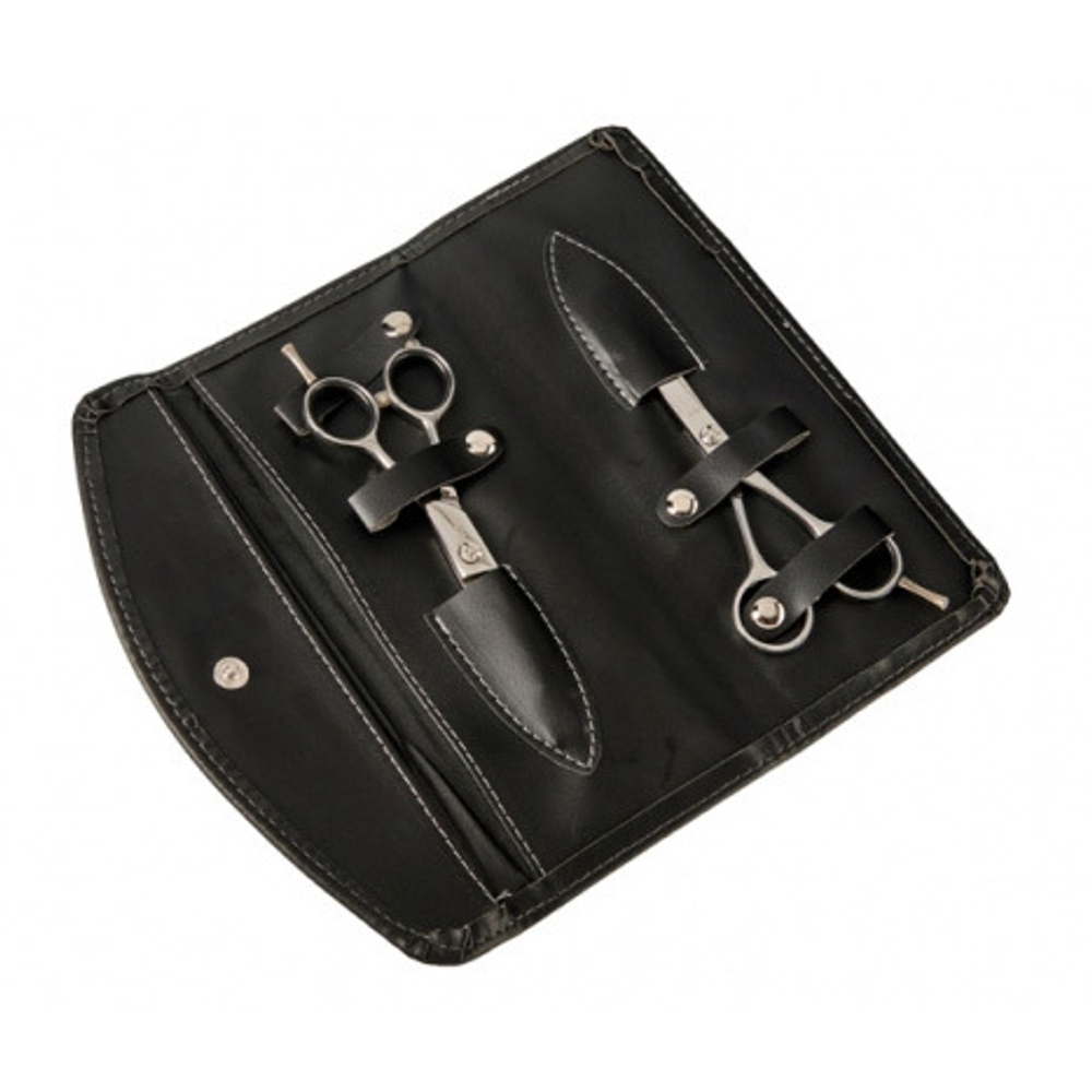 Набор ножниц для стрижки и филировки 5.5" Kiepe School Regular 212