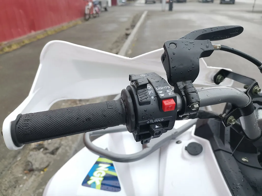 Квадроцикл PROMAX RENEGADE 280 LUX (2025)