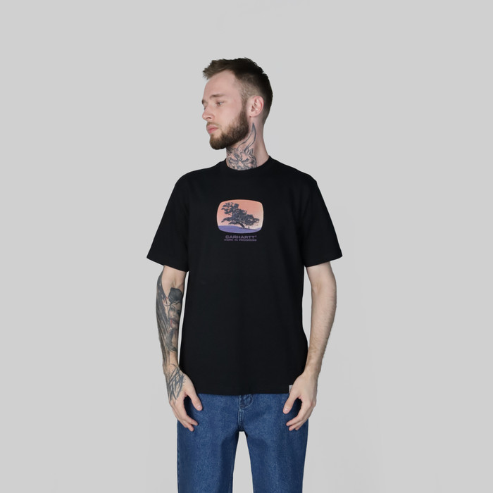 Футболка мужская Carhartt WIP Seeds артикул:I031028 - купить в магазине Дайс
