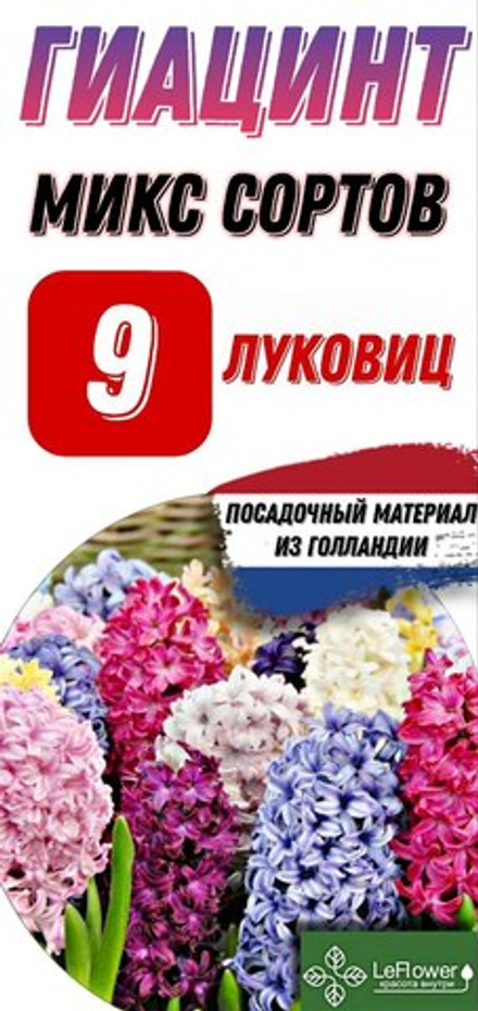 Гиацинт Луковицы, Микс сортов, 9шт