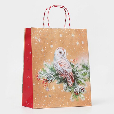 Пакет бумажный подарочный новогодний крафт "Совушка" 26 х 32 х 12 см.