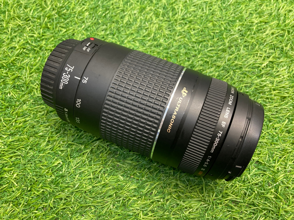 Canon EF 75-300mm 4-5.6 III USM
