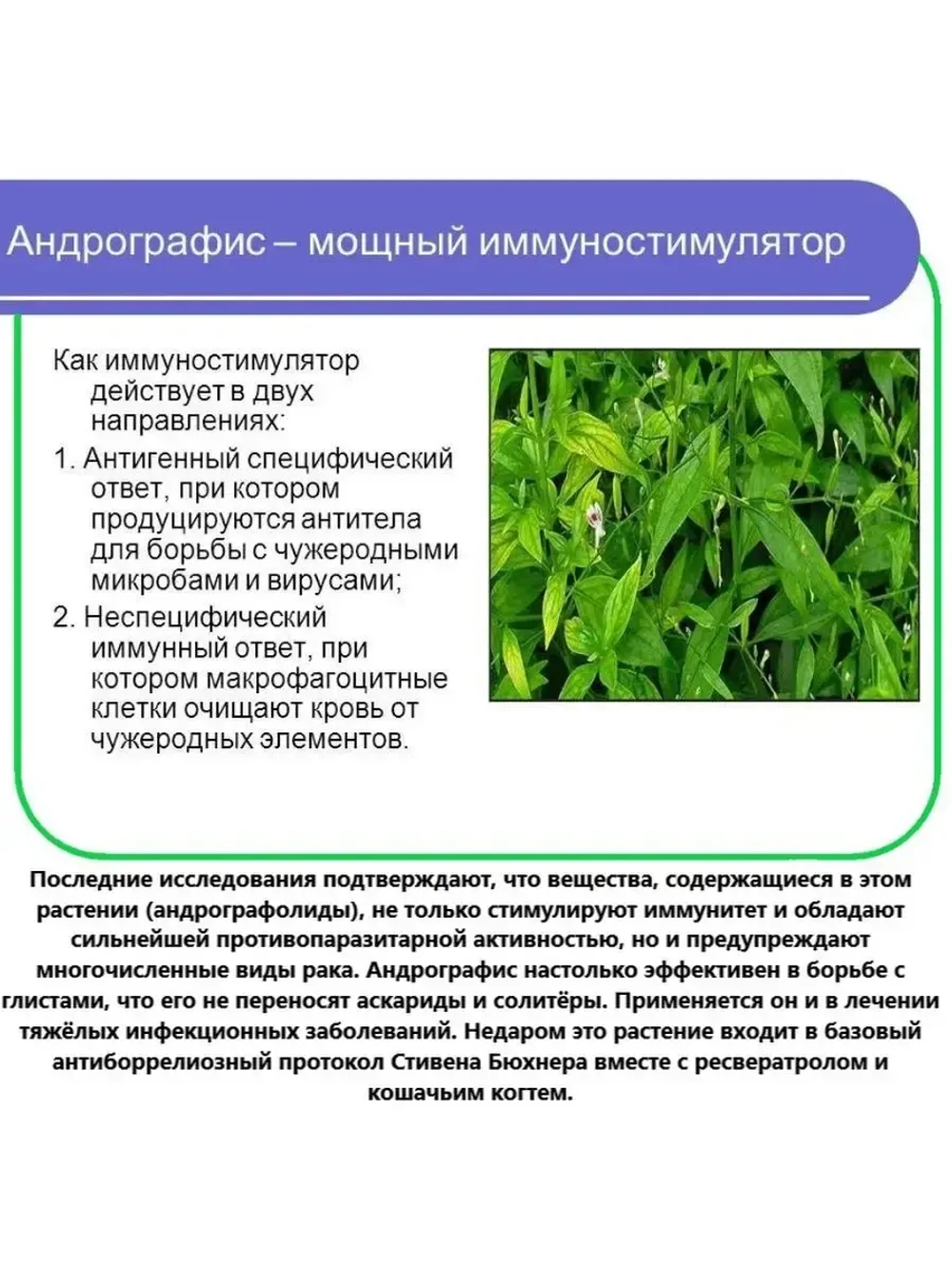 Тайские шарики драже от кашля и ангины