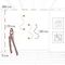 Настенный светильник LOFT IT Thread 10388W Brass