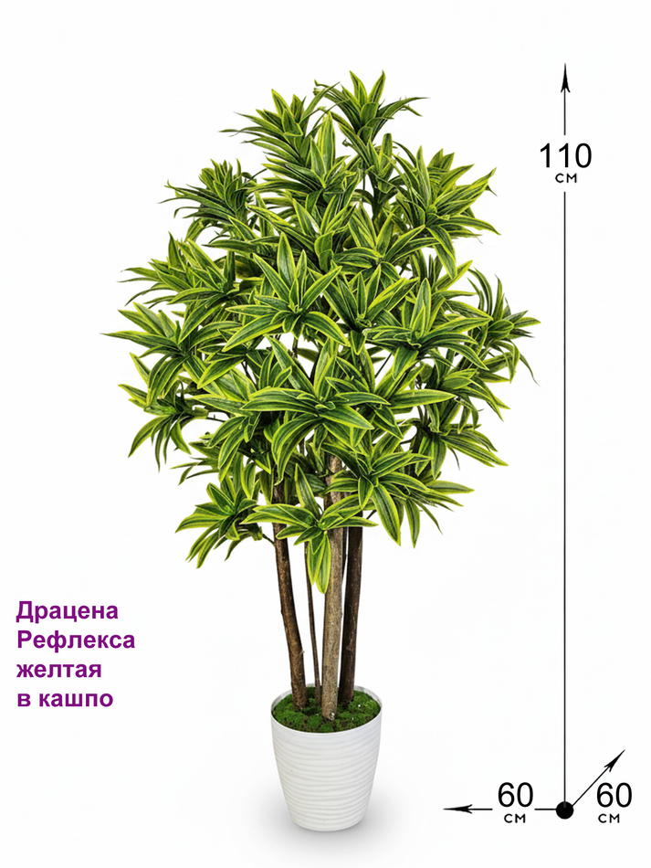 Искусственная Драцена Рефлекса желтая 110см в горшке