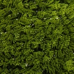 Искусственное растение шар «Самшит» туя D-35см Ultramarine