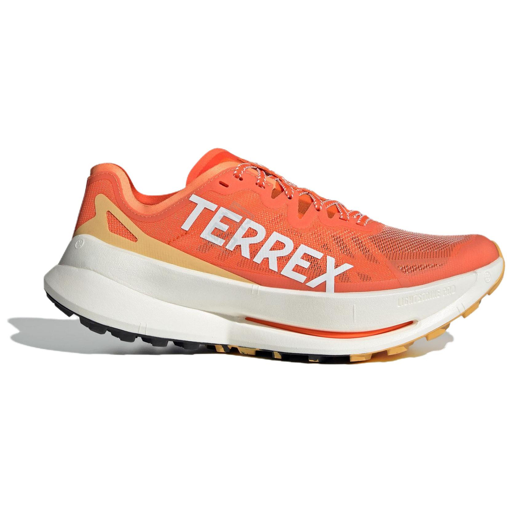 Кроссовки Adidas Terrex Agravic Lightstrike Pro