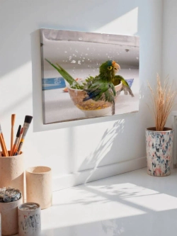 Картина на стену 40 X 50 Попугай