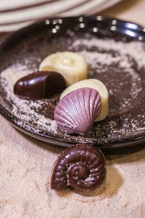 Конфеты шоколадные мини ракушки
