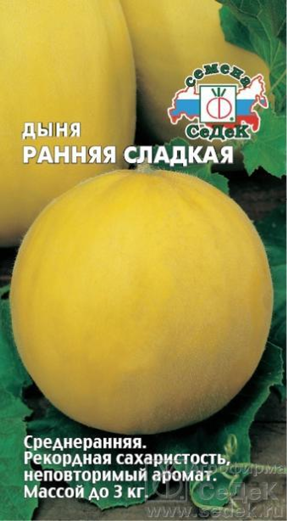 Дыня Ранняя Сладкая 0,5 гр Седек