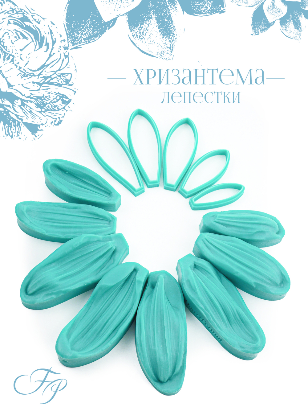 Хризантема лепестки