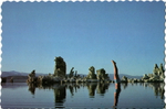 Pink Floyd / Wish You Were Here (LP)