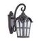 Уличный настенный светильник Maytoni Outdoor Albion O413WL-01BZ