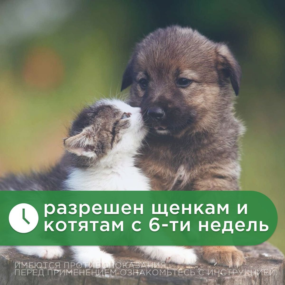 Капли от блох, клещей и гельминтов лечебные "KRKA"/ Для собак массой менее 2,5кг / "Селафорт 15мг/0,25мл Селамектин