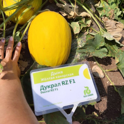 Дыня Дукрал F1 5шт ВитаГрин ЭКСТРА