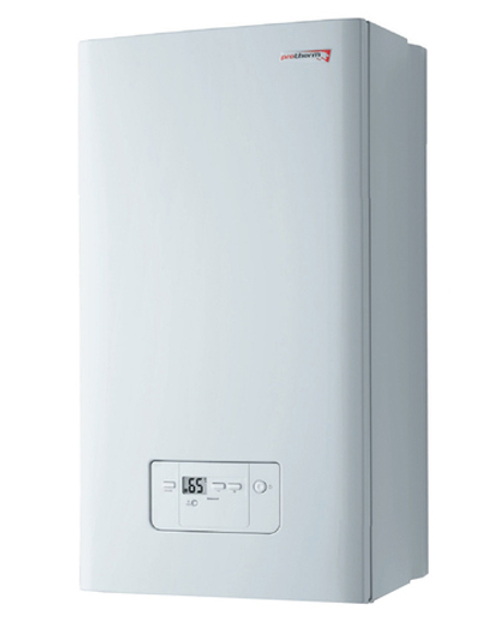 Настенный газовый котел Protherm Гепард  23 MTV