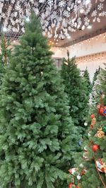 Ель искусственная «Шервуд» (Литая хвоя) от 1,5 м до 2,4 м