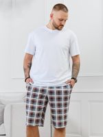 Шорты мужские Тор-2.1 Виотекс КЛЕТКА РАЗНОЦВЕТНАЯ