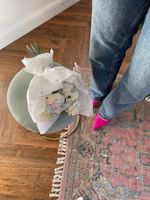 Радужные диантусы в оформлении